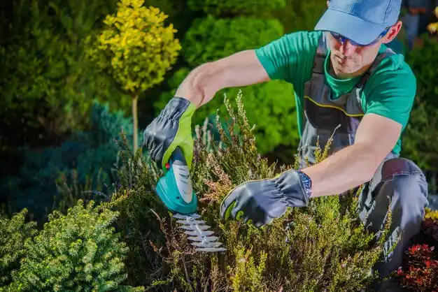 landscaping services Gordon